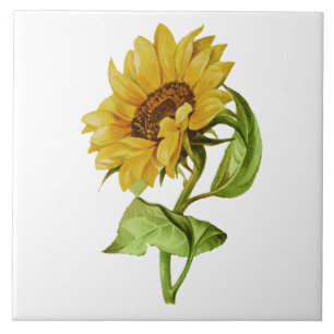 Vintage Sunflower Rustic Floral Ceramic Tile