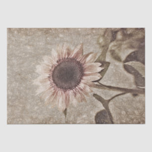Vintage Sunflower Sepia Brown Pink Rustic Texture Tissue Paper