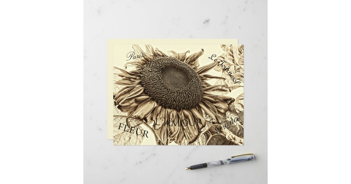 Vintage Sunflower Sepia Tone Old Script Decoupage | Zazzle