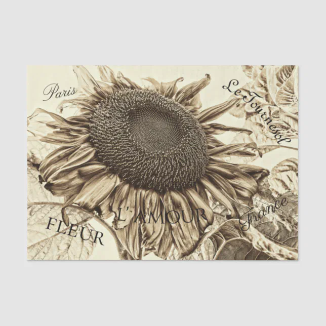 Vintage Sunflower Sepia Tone Old Script Decoupage Tissue Paper | Zazzle