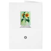 Vintage Sunflowers Botanical Art (Back)