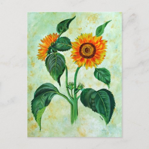 Vintage Sunflowers Botanical Art Postcard