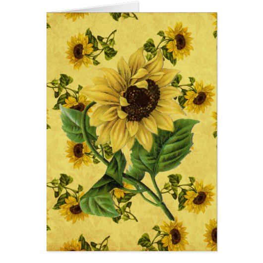 Vintage Sunflowers Cards (Front)