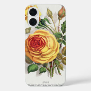 Vintage Sunset Rose Yellow & Orange Botanical Art iPhone 16 Case