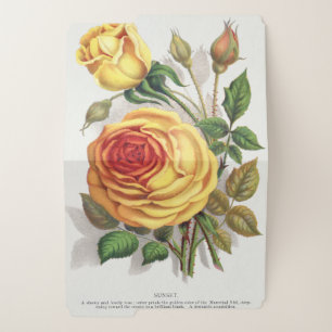 Vintage Sunset Rose Yellow & Orange Botanical Art File Folder