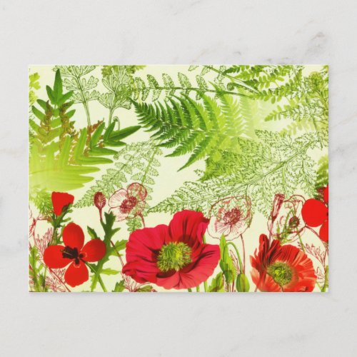 Vintage Sunshine Blooming Poppies Floral Postcard