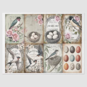 Vintage Swallow and nest with eggs Easter Tissue Paper