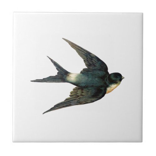 Vintage Swallow Bird Antique Sparrow Illustration Tile