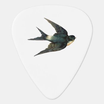 Vintage Swallow Bird Illustration Guitar Pick by PNGDesign at Zazzle