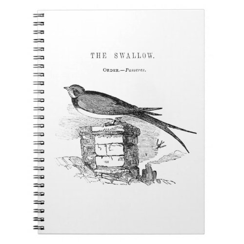 Vintage swallow bird notebook