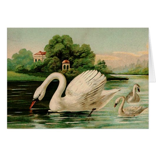 Vintage Swan in the Lake (Front Horizontal)