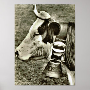 Vintage Switzerland, cow with cow bell Poster