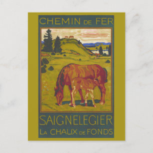 Vintage Switzerland Horse Retro Railroad Travel Postcard