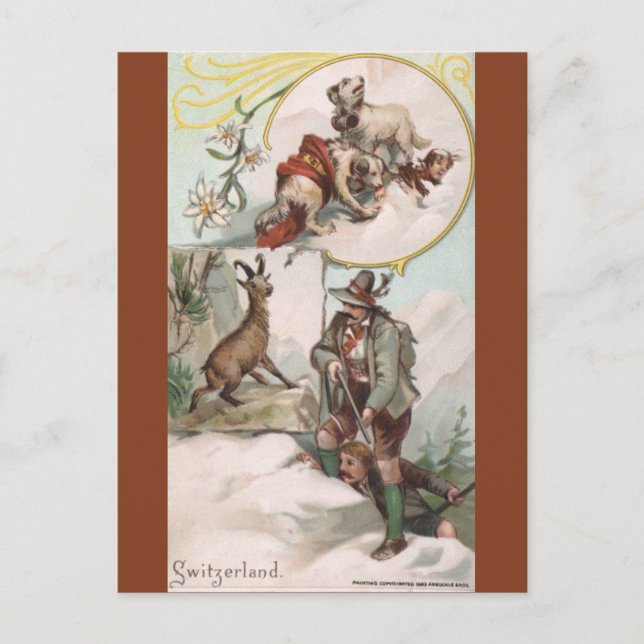 Vintage Switzerland Postcard (Front)