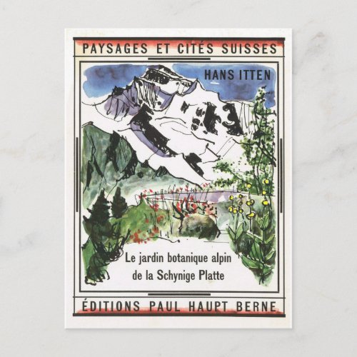 Vintage Switzerland Schynigge Platte 1909 12 Postcard