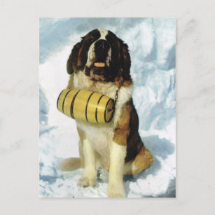 Vintage Switzerland St Bernard dog with  brandy Postcard