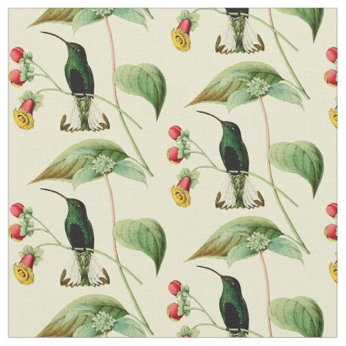 Vintage Sword Billed Hummingbird Fabric