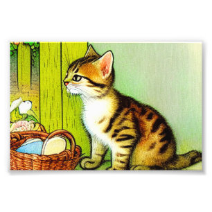 Vintage Tabby Cat Illustration Photo Print