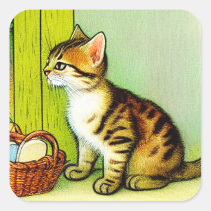 Vintage Tabby Cat Illustration Square Sticker