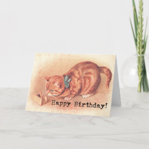 Vintage Tabby Kitty Birthday Card