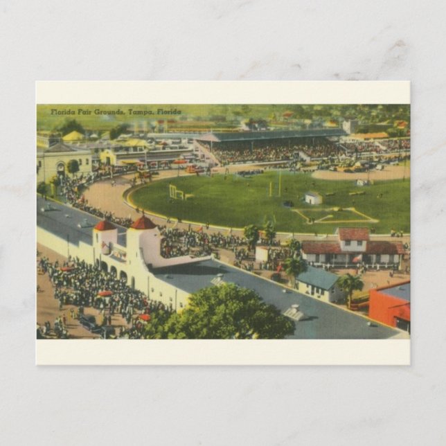 Vintage Tampa Florida Fair Grounds Postcard (Front)