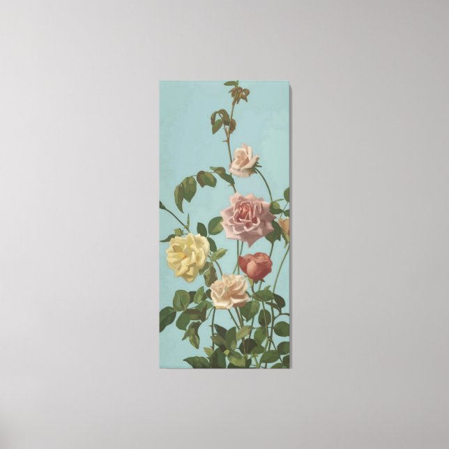 Vintage Tea Rose and Blush Roses Canvas Print (Front)