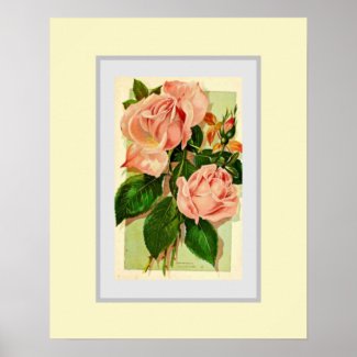 Vintage Tea Roses in Soft Pink Poster