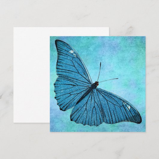 Vintage Teal Blue Butterfly 1800s Illustration (Front/Back)