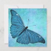 Vintage Teal Blue Butterfly 1800s Illustration (Front)
