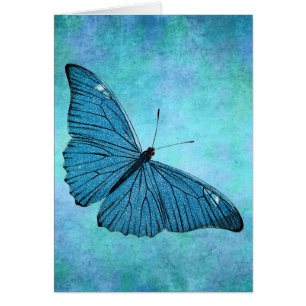 Vintage Teal Blue Butterfly 1800s Illustration
