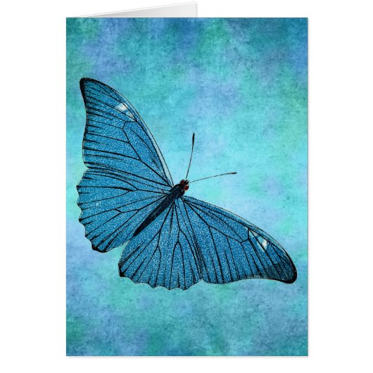 Vintage Teal Blue Butterfly 1800s Illustration (Front)