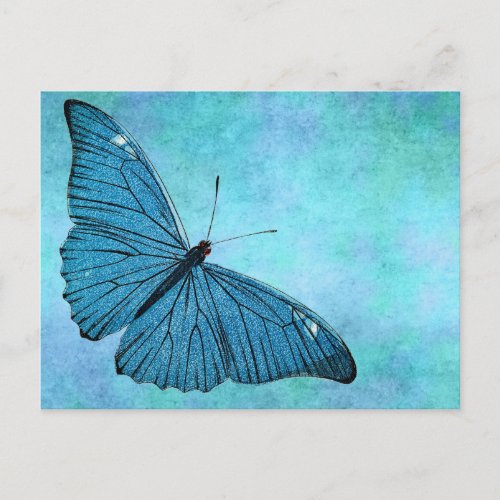 Vintage Teal Blue Butterfly 1800s Illustration Postcard