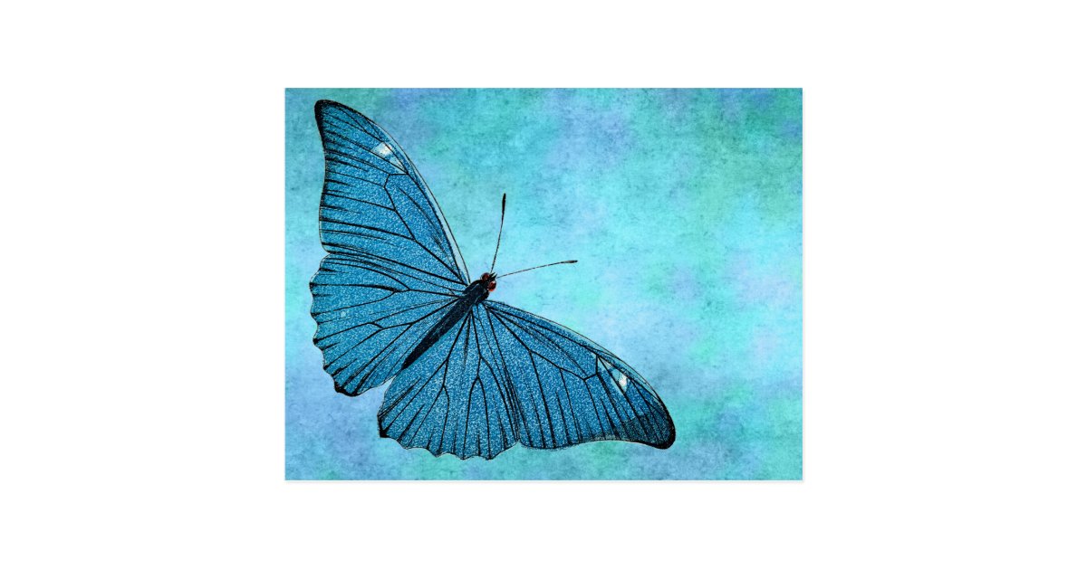 vintage teal blue butterfly 1800s illustration postcard rsvp return cards