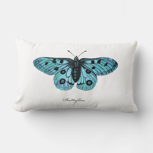 Vintage Teal Blue Butterfly Illustration - 1800's Lumbar Pillow (Front)