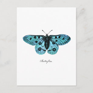 Vintage Teal Blue Butterfly Illustration - 1800's Postcard
