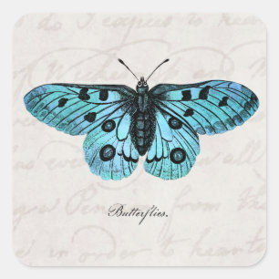 Vintage Teal Blue Butterfly Illustration - 1800's Square Sticker