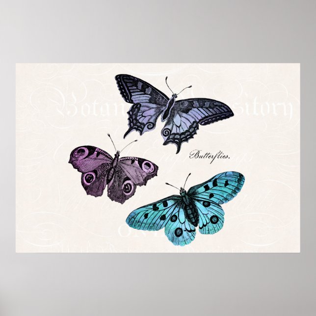 Vintage Teal Blue Purple Pink Butterfly Drawing Poster (Front)