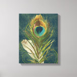 Vintage Teal Peacock Feather Canvas Print