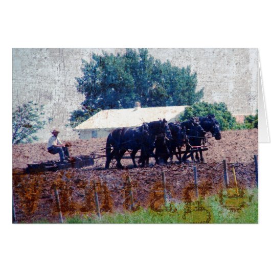 Vintage Team Work (Front Horizontal)