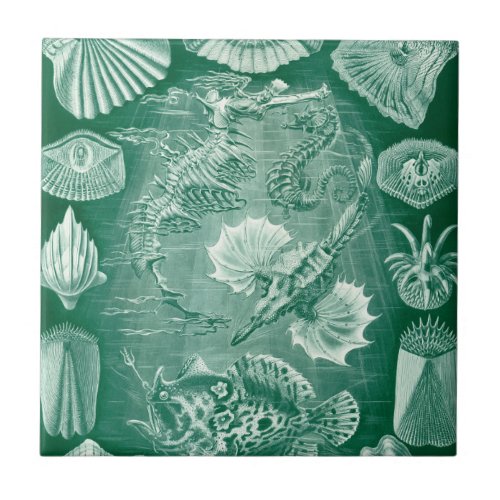 Vintage Teleostei Shells and Fish by Ernst Haeckel Ceramic Tile