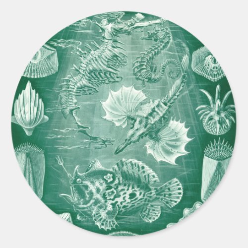 Vintage Teleostei Shells and Fish by Ernst Haeckel Classic Round Sticker