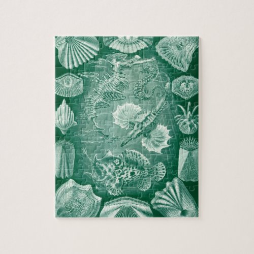 Vintage Teleostei Shells and Fish by Ernst Haeckel Jigsaw Puzzle