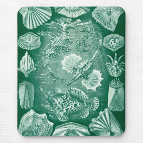 Vintage Teleostei Shells and Fish by Ernst Haeckel Mouse Pad