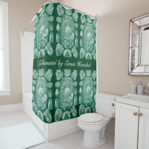 Vintage Teleostei Shells and Fish by Ernst Haeckel Shower Curtain