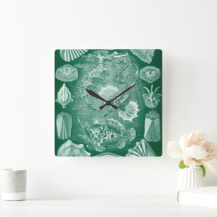 Vintage Teleostei Shells and Fish by Ernst Haeckel Square Wall Clock