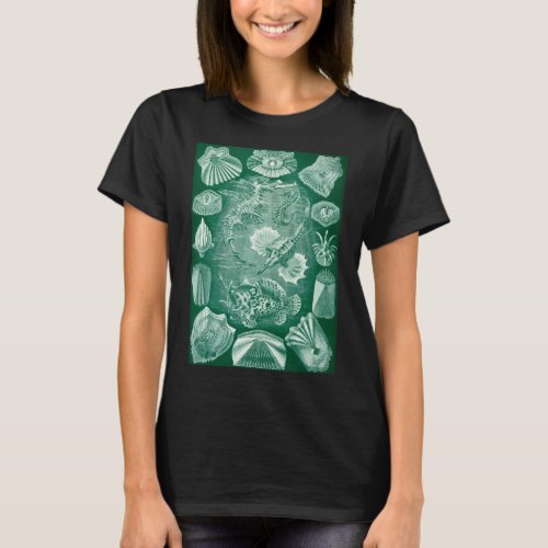 Vintage Teleostei Shells and Fish by Ernst Haeckel T_Shirt