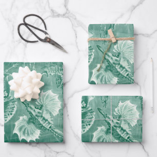 Vintage Teleostei Shells and Fish by Ernst Haeckel Wrapping Paper Sheets