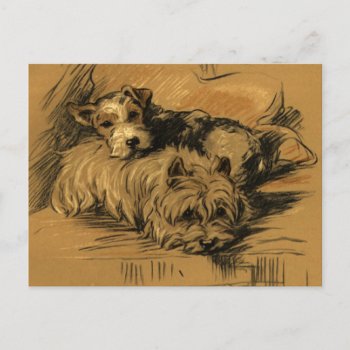 Vintage Terrier And Westie Postcard by golden_oldies at Zazzle