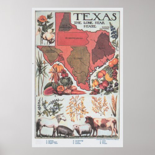 Vintage Texas Agricultural Map 1922 Poster