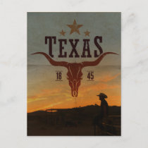 Vintage Texas Cowboy Travel Postcard